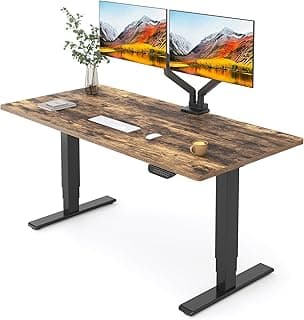 FLEXISPOT E6 Standing Desk