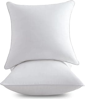 FAVRIQ 20 x 20 Inch Throw Pillow Inserts Set of 2
