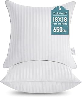 Oubonun Throw Pillow Insert BP01-WH-1818