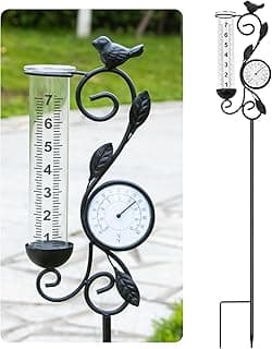 Best Rain Gauge for Garden: Accurate Rainfall Tracking