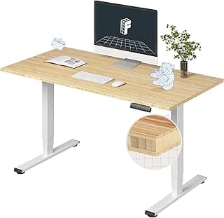 FlexiSpot E6 EC5W Standing Desk