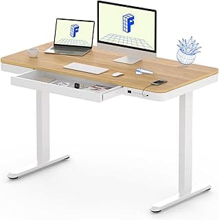 FLEXISPOT EW8 Standing Desk