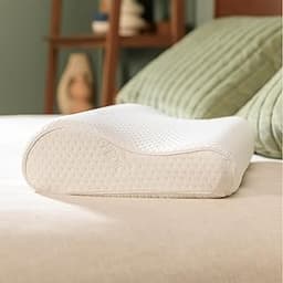 Best Pillow for Neck Pain Relief in 2026: 9 Top Picks