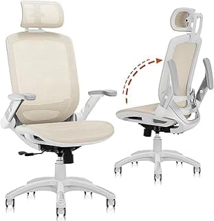 GABRYLLY Ergonomic Office Chair GY01WBG