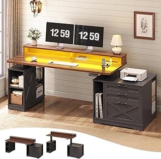SEDETA 55 inch Farmhouse Electric Standing Desk