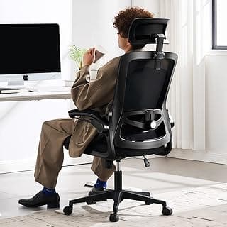 Fizzin Ergonomic Office Chair 23-1