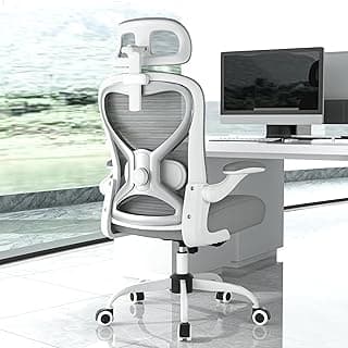 CASASIO Ergonomic Office Chair 2307H
